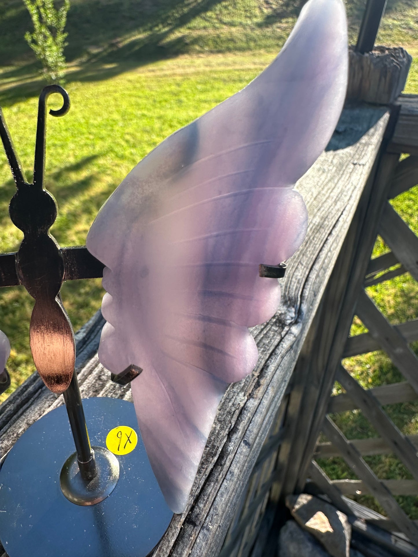 Fluorite Butterfly Wings & Stand #4