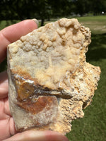 Savannah River Agate Specimen #27