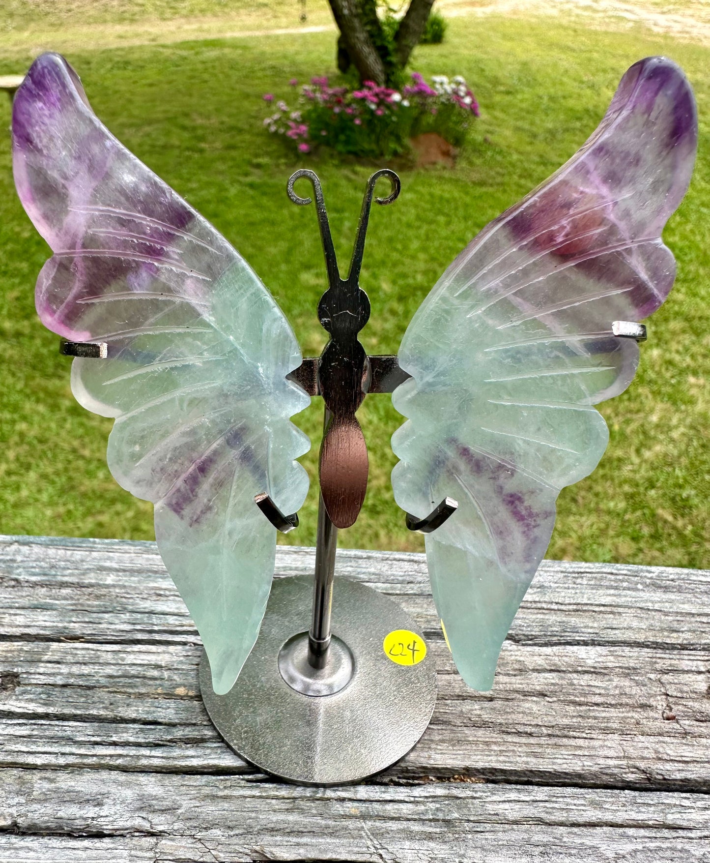 Fluorite Butterfly Wings & Stand #1