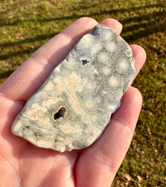 6th Vein Ocean Jasper Polished Freeform #4