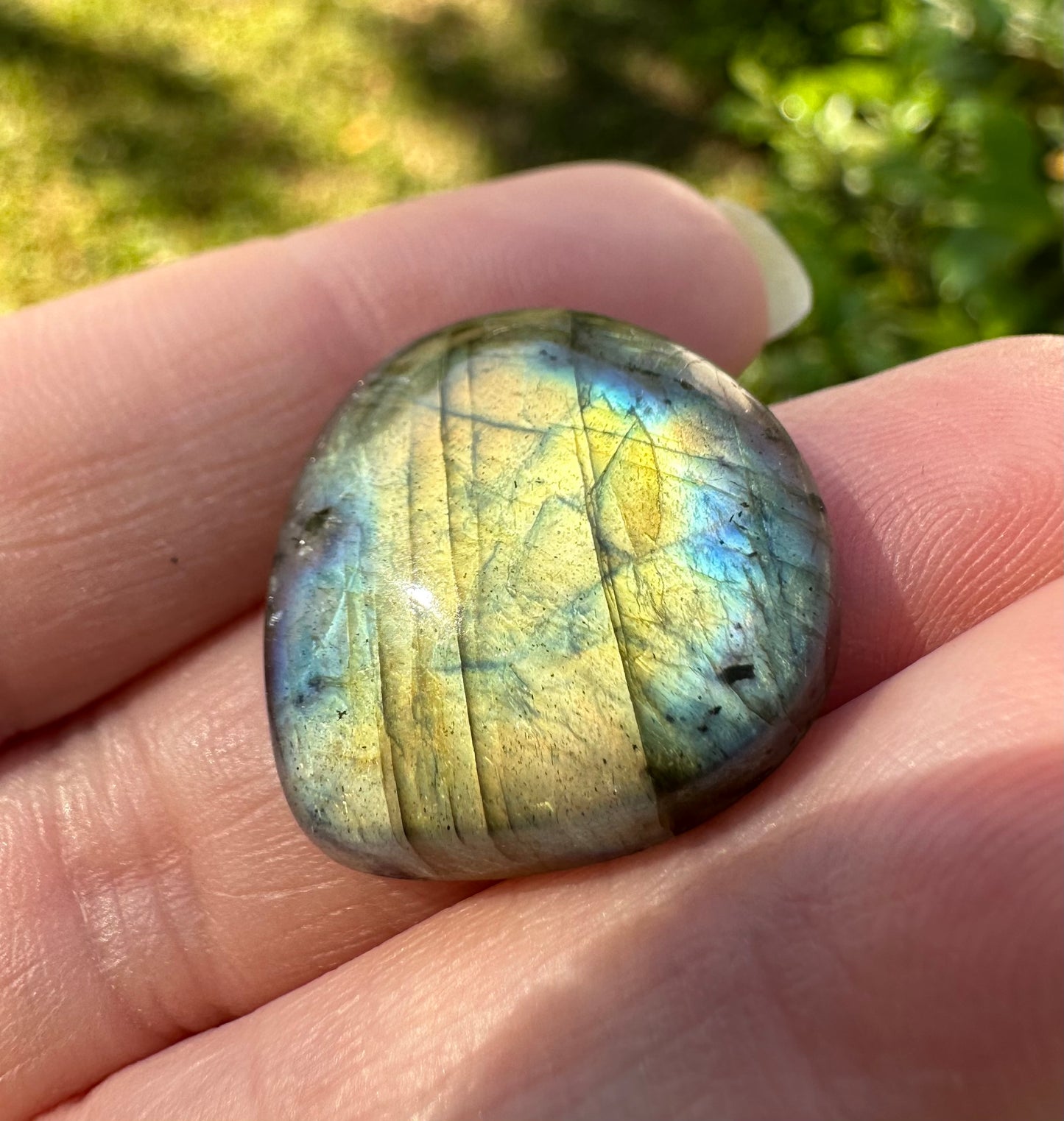 Pearshape Labradorite Cabochon 49a