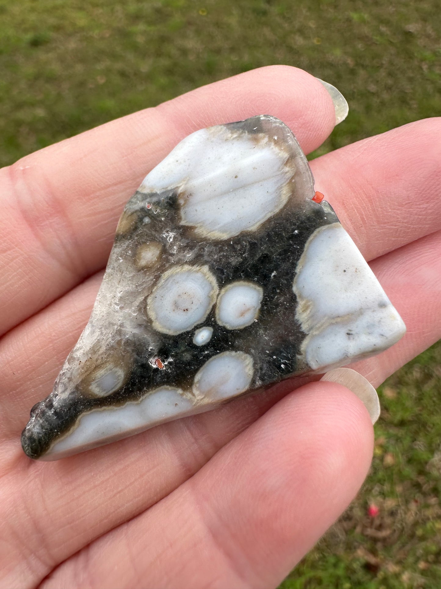 6th Vein Ocean Jasper Polished Freeform #38