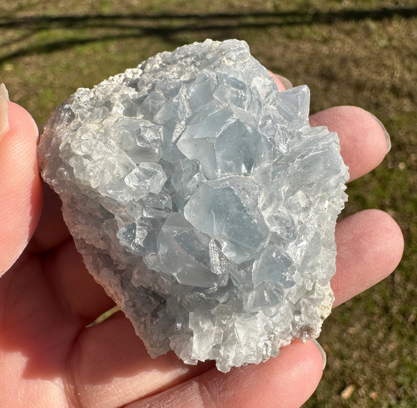 Celestite Cluster Specimen #5