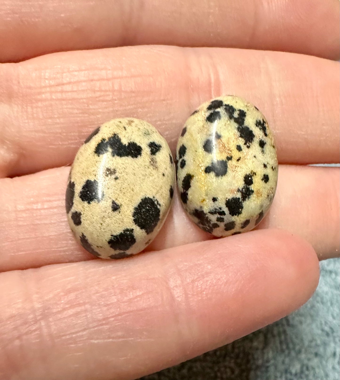 Dalmatian Jasper 18x13mm Cabochon Pair