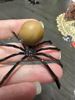 Spider with Gemstone Sphere