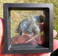 Carved Labradorite Triceratops