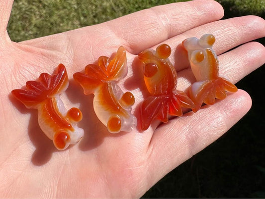 Carved Carnelian Agate Goldfish