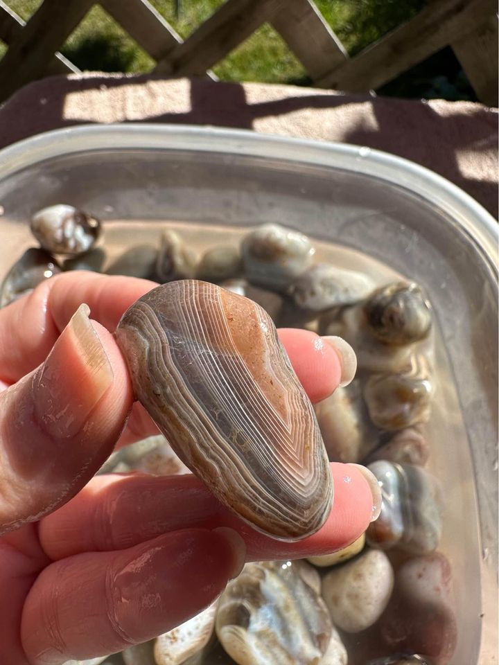 Botswana Agate Rough Tumble