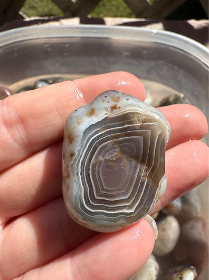 Botswana Agate Rough Tumble