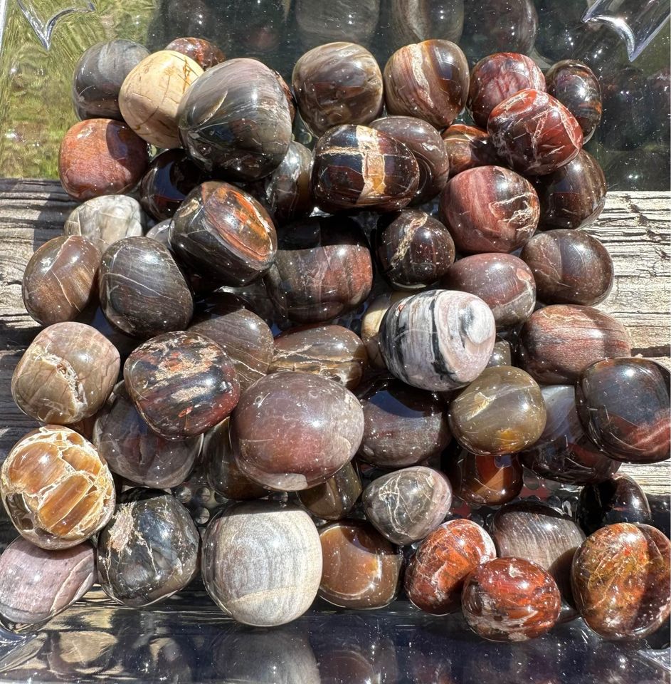 Petrified Wood Tumbles