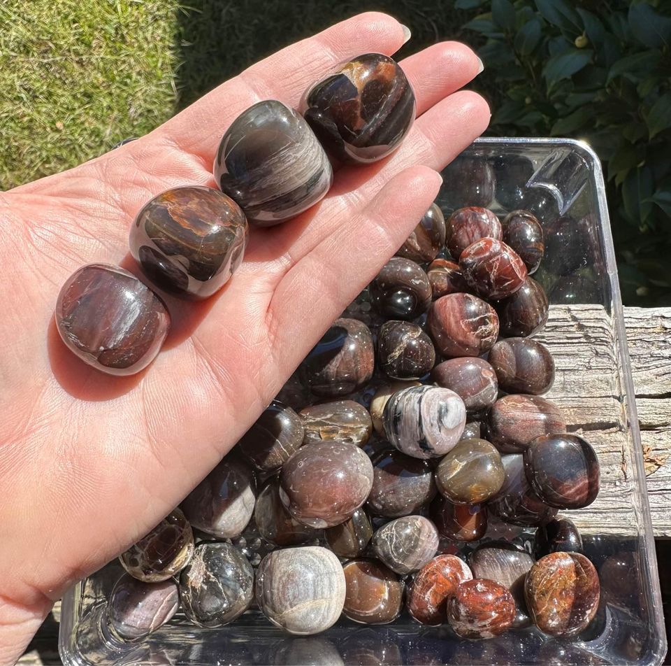 Petrified Wood Tumbles