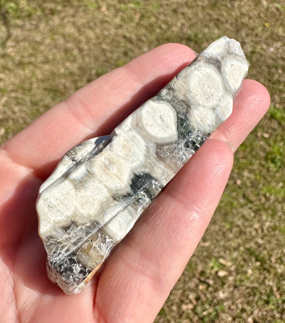 6th Vein Ocean Jasper Polished Freeform #19