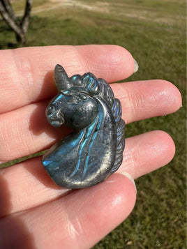 Carved Unicorn Labradorite with Case