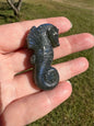 Carved Labradorite Seahorse with Case #1