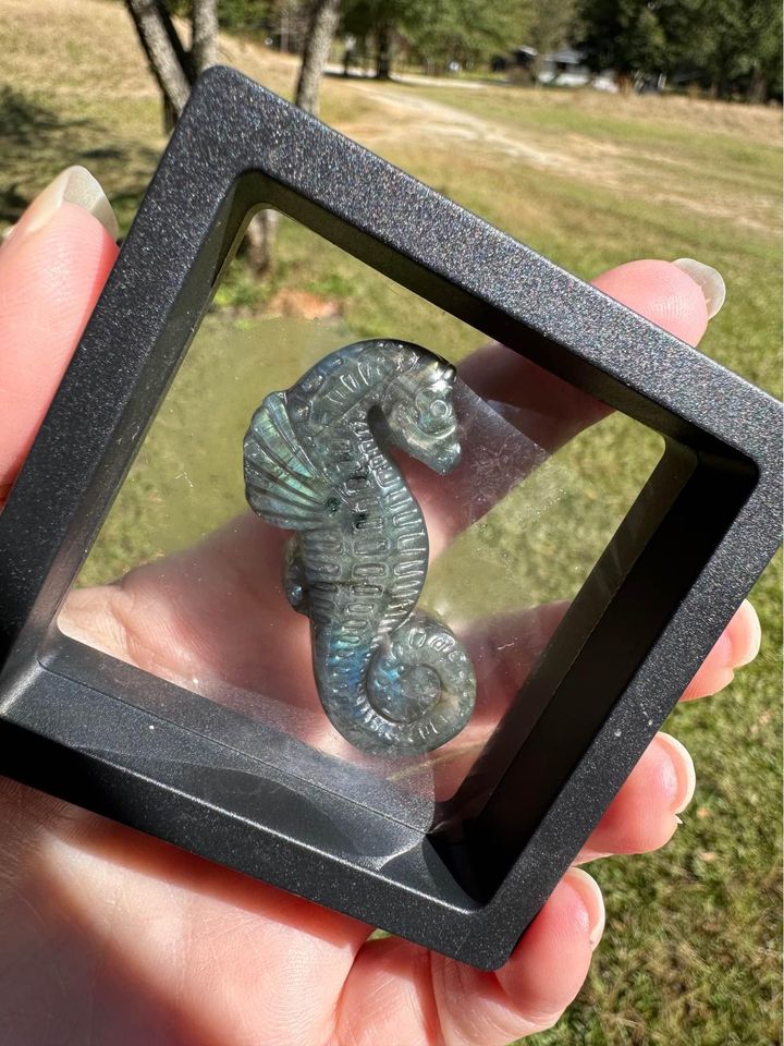 Carved Labradorite Seahorse with Case #2