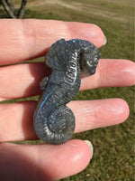 Carved Labradorite Seahorse with Case #2