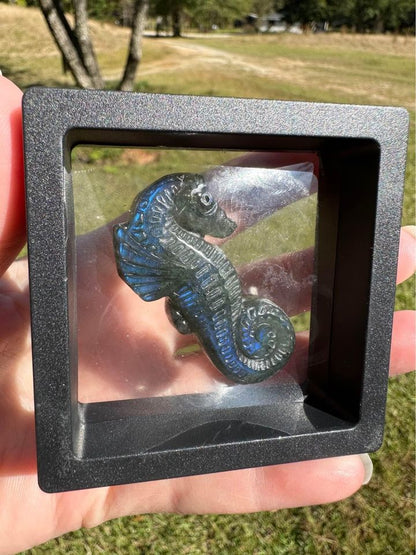 Carved Labradorite Seahorse with Case #1