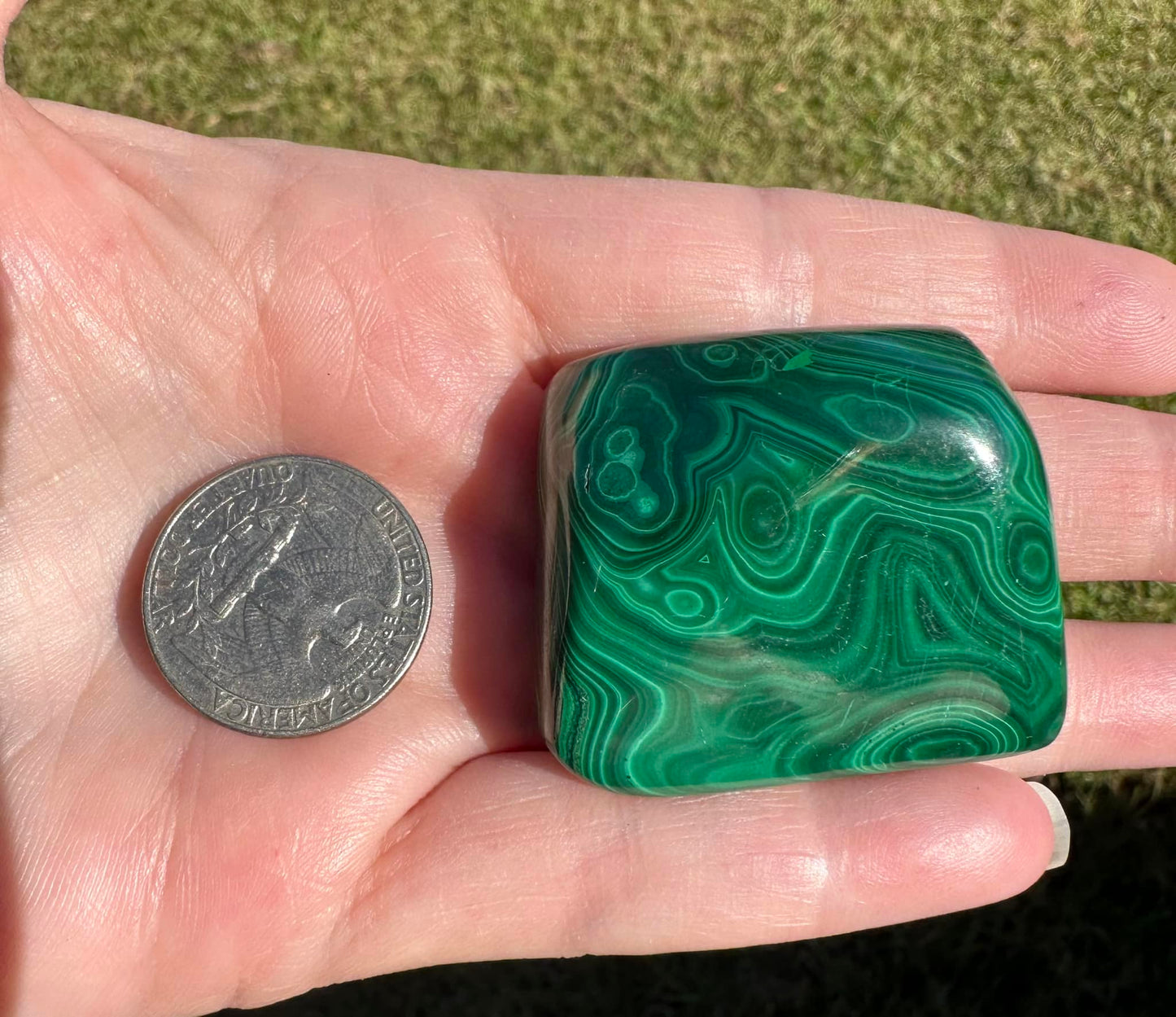 Polished Malachite #12