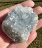 Celestite Cluster Specimen #5