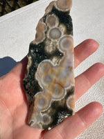 6th Vein Ocean Jasper Polished Freeform #2