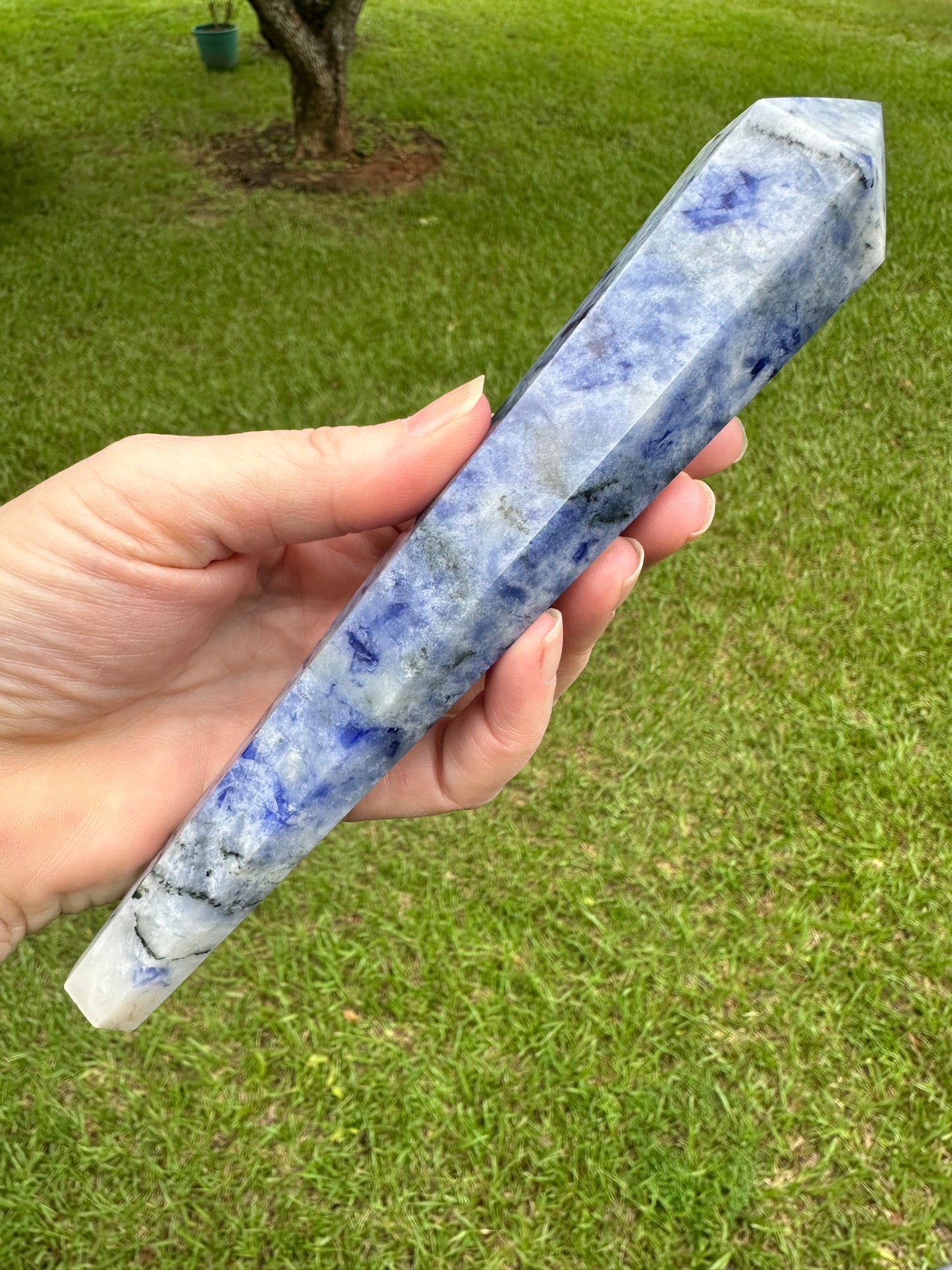 Large Sodalite Scepter #3