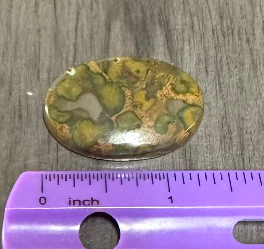 Rainforest Jasper (Rhyolite) Cabochon #9