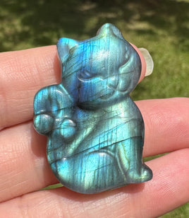 Labradorite Whimsical Cat with Case