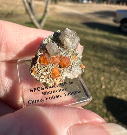 Spessartine Garnet Crystals with Quartz on Microcline Matrix