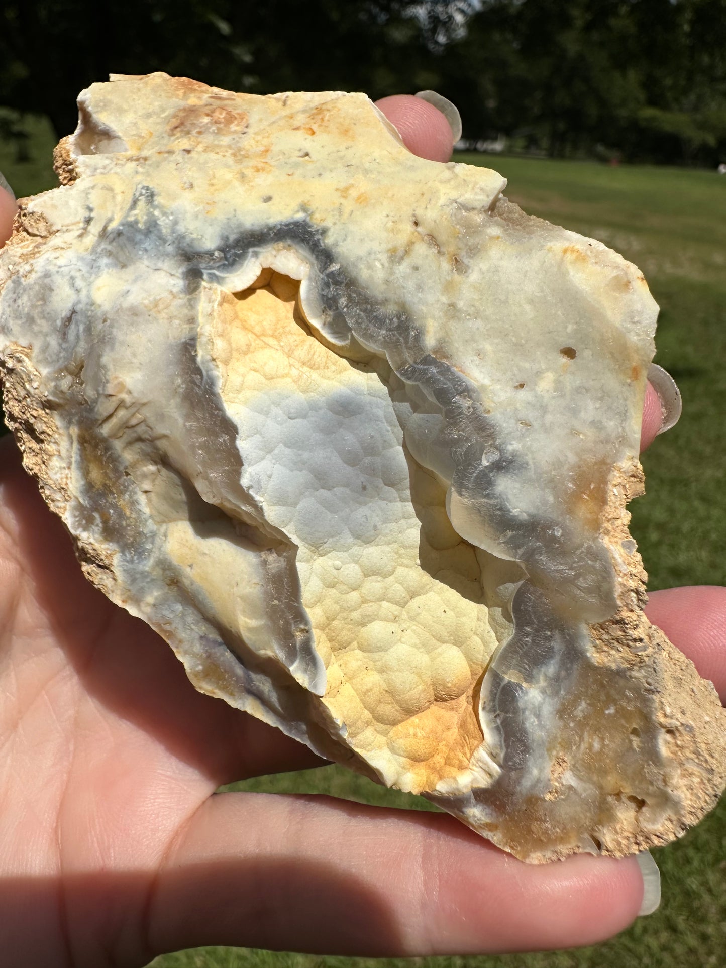 Savannah River Agate Specimen #29