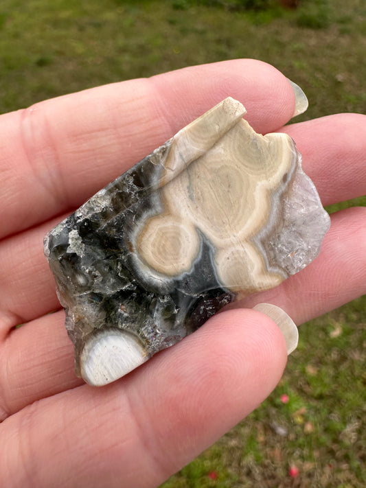 6th Vein Ocean Jasper Polished Freeform #33