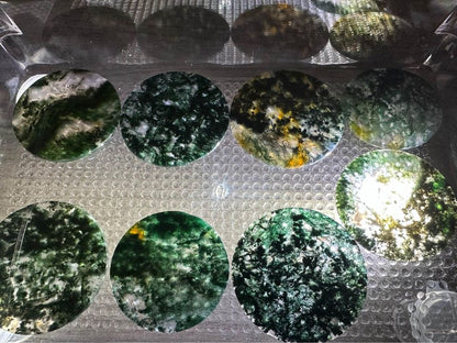 Moss Agate Polished Round Slices