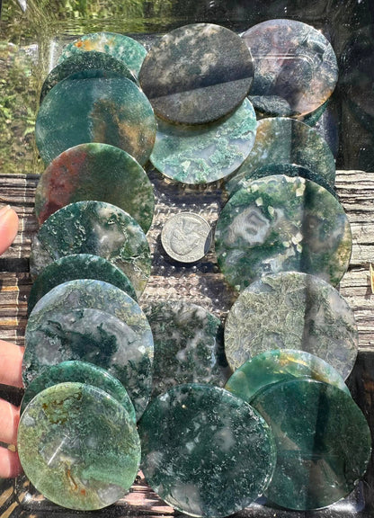 Moss Agate Round Slices (bin#2)