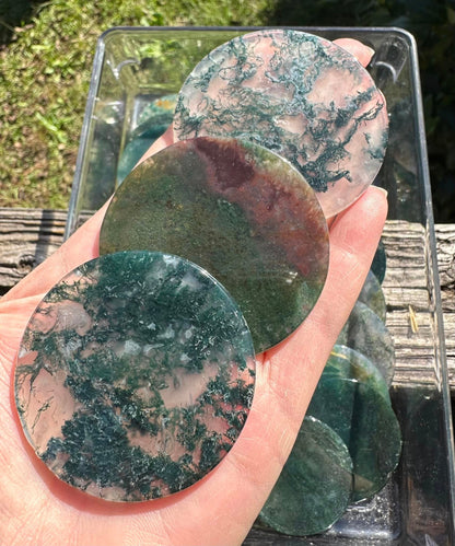 Moss Agate Round Slices (bin#2)