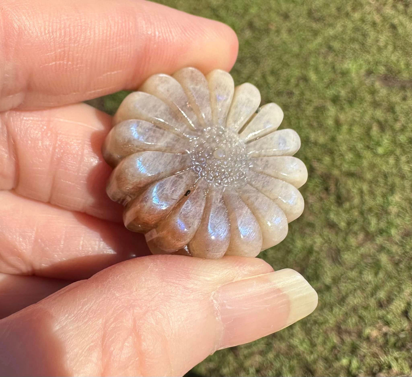 Moonstone with Sunstone Carved Flower with Case