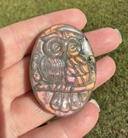 Pink & Orange Carved Labradorite Owl with Case