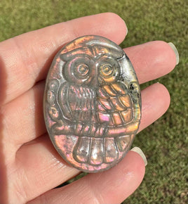 Pink & Orange Carved Labradorite Owl with Case