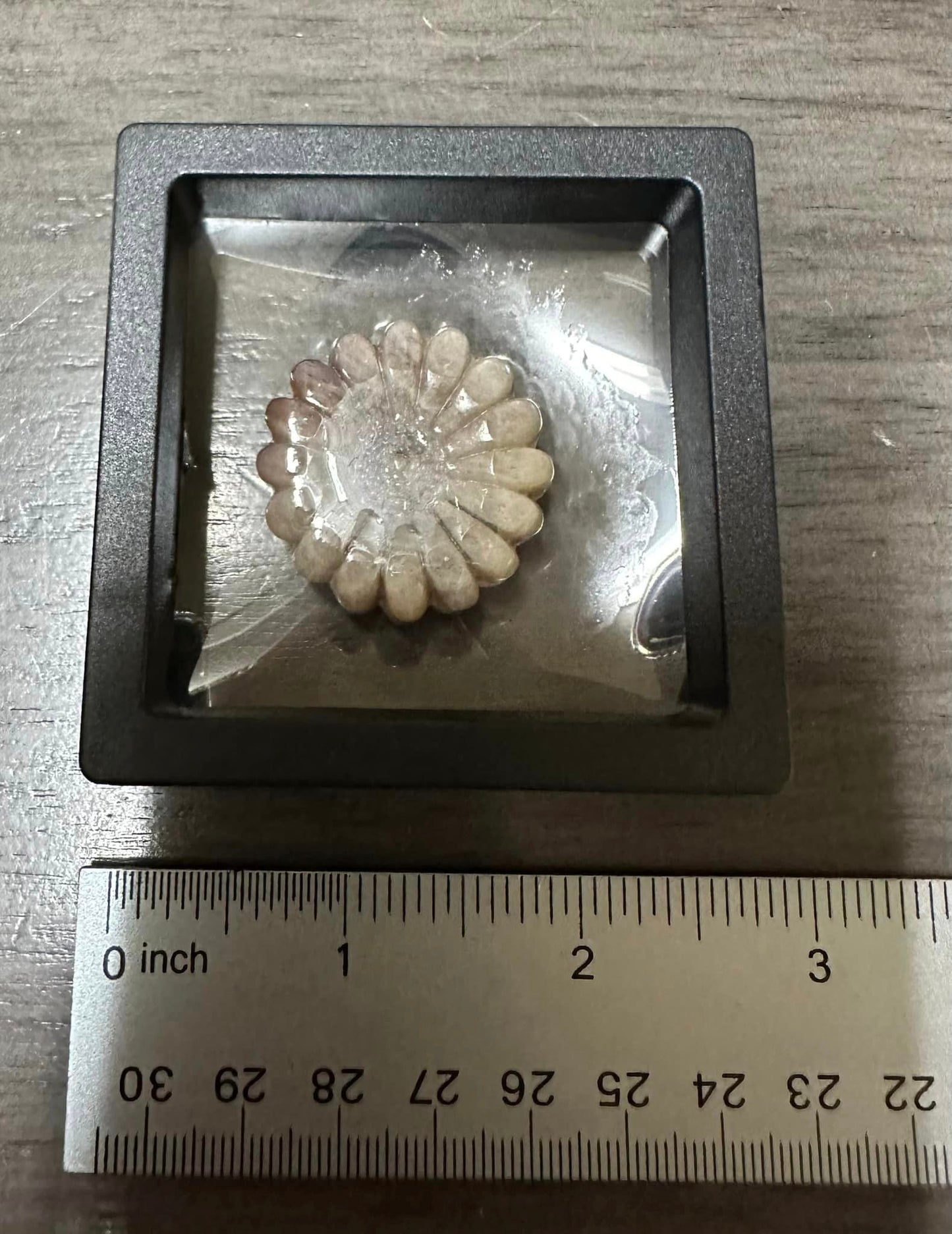 Moonstone with Sunstone Carved Flower with Case