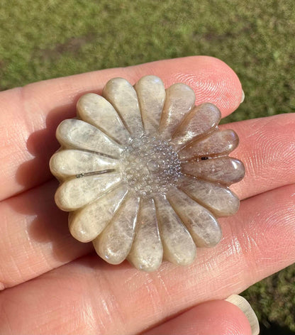 Moonstone with Sunstone Carved Flower with Case