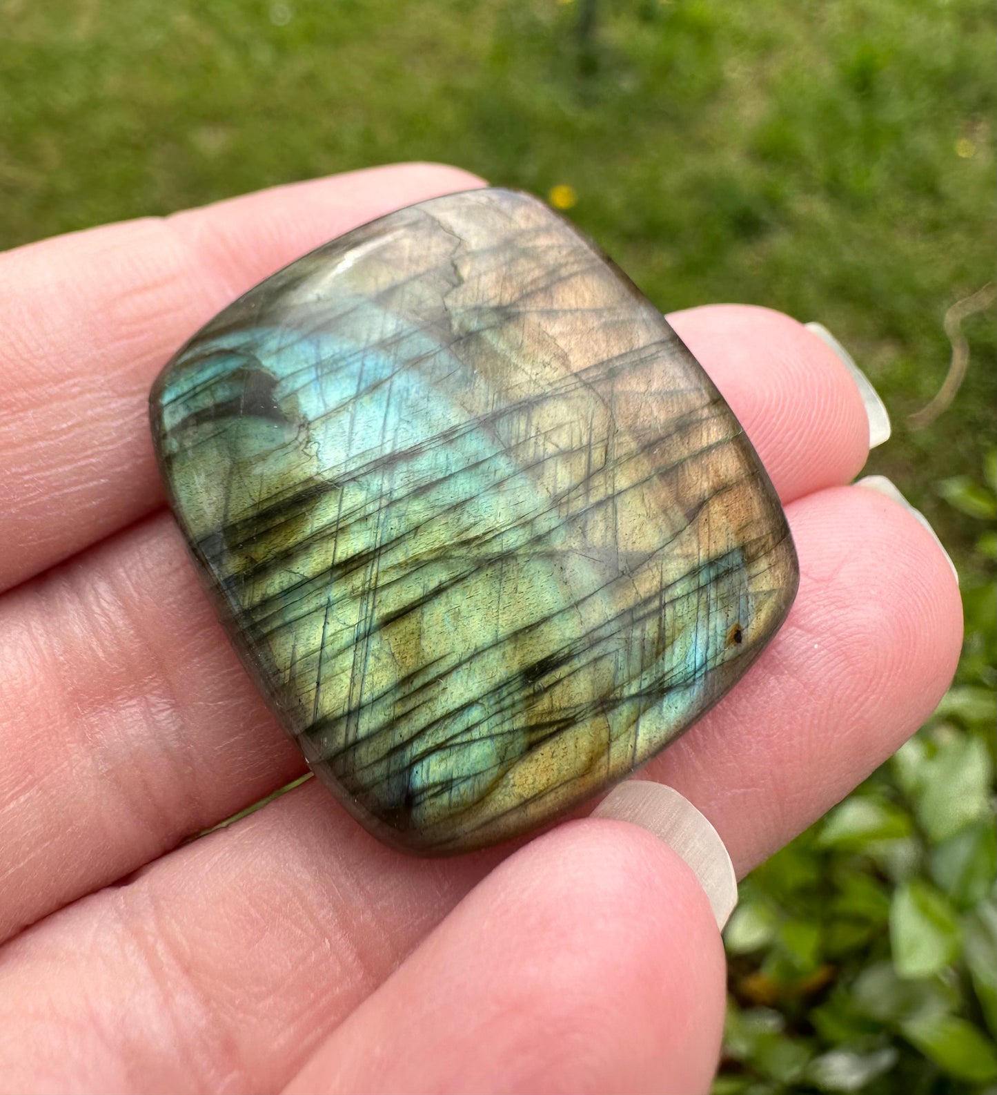 Square Labradorite Cabochon 11a