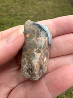 6th Vein Ocean Jasper Polished Freeform #39