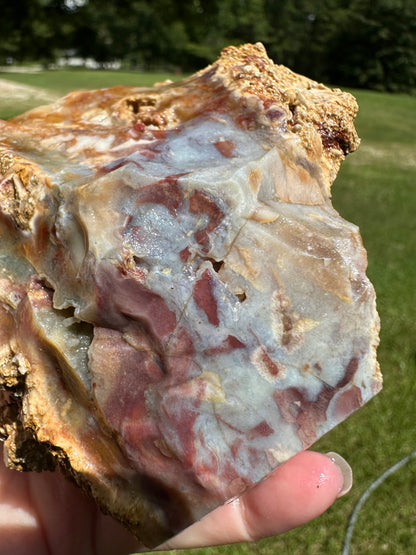 Savannah River Agate Specimen #52