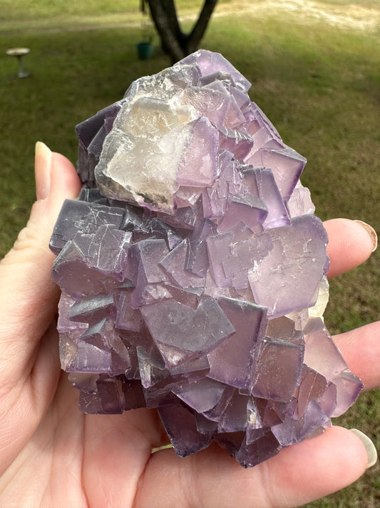 Cubic Purple Fluorite Specimen #1