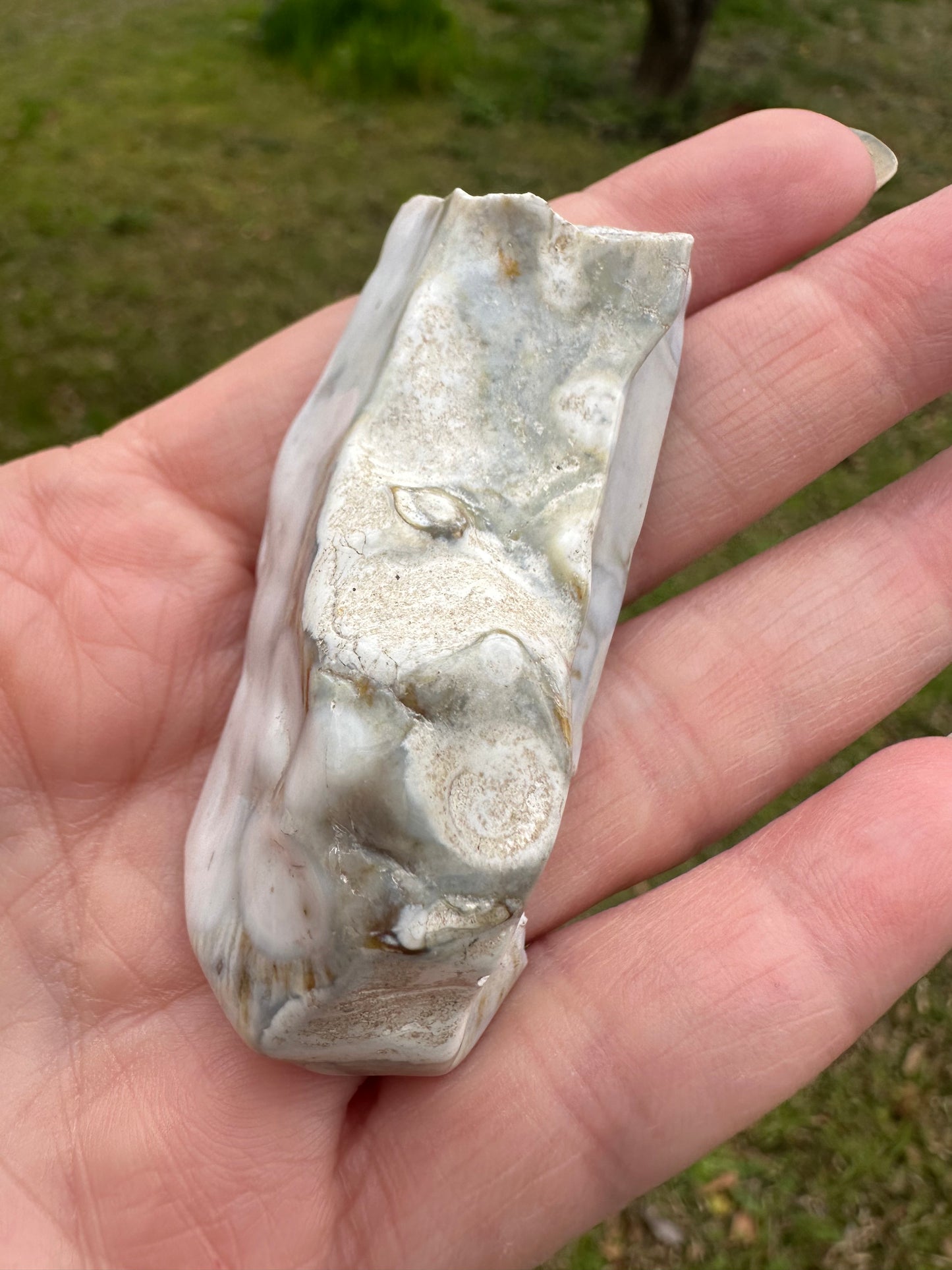 6th Vein Ocean Jasper Polished Freeform #41