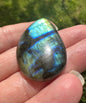 Pearshape Labradorite Cabochon 10a