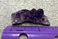 Amethyst Cluster Specimen #12