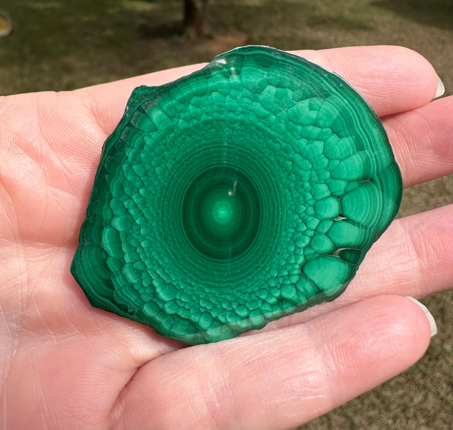 Exquisite Malachite Polished Slice