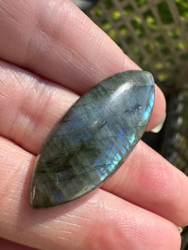 Marquise Labradorite Cabochon 76a