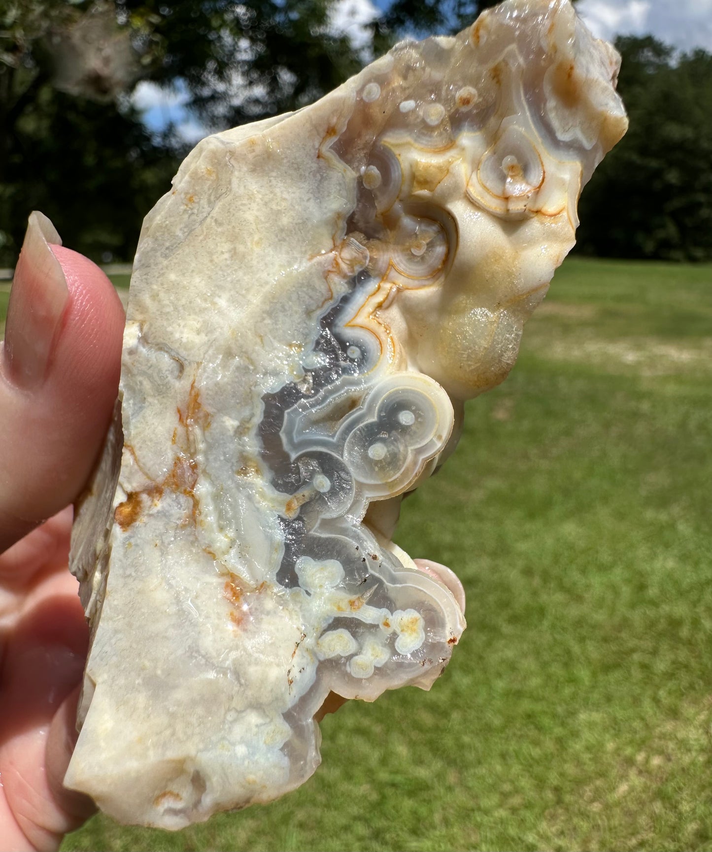 Savannah River Agate Specimen #44