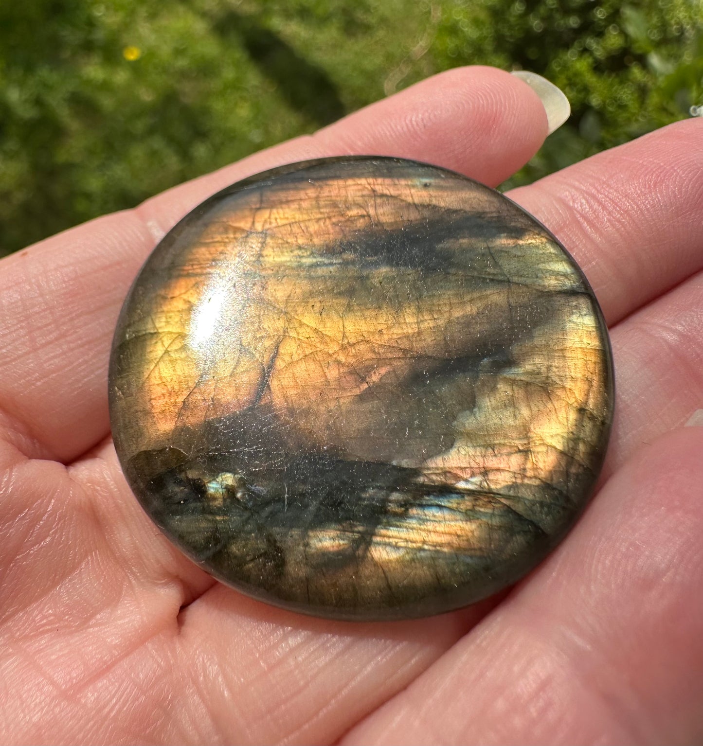 Round Labradorite Cabochon 9a