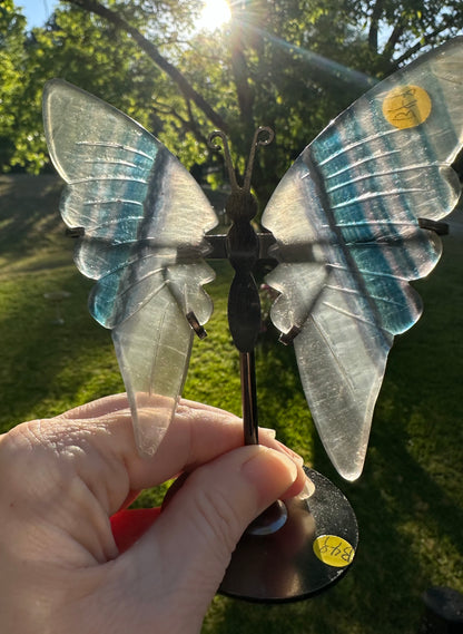 Fluorite Butterfly Wings & Stand #2